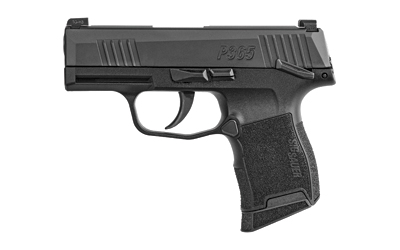 P365 380ACP BLK 10 1 NS SFTY
