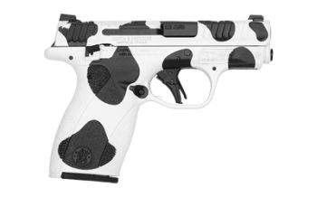 S&W BDYGRD 2.0 380ACP 2.75 12RD COW